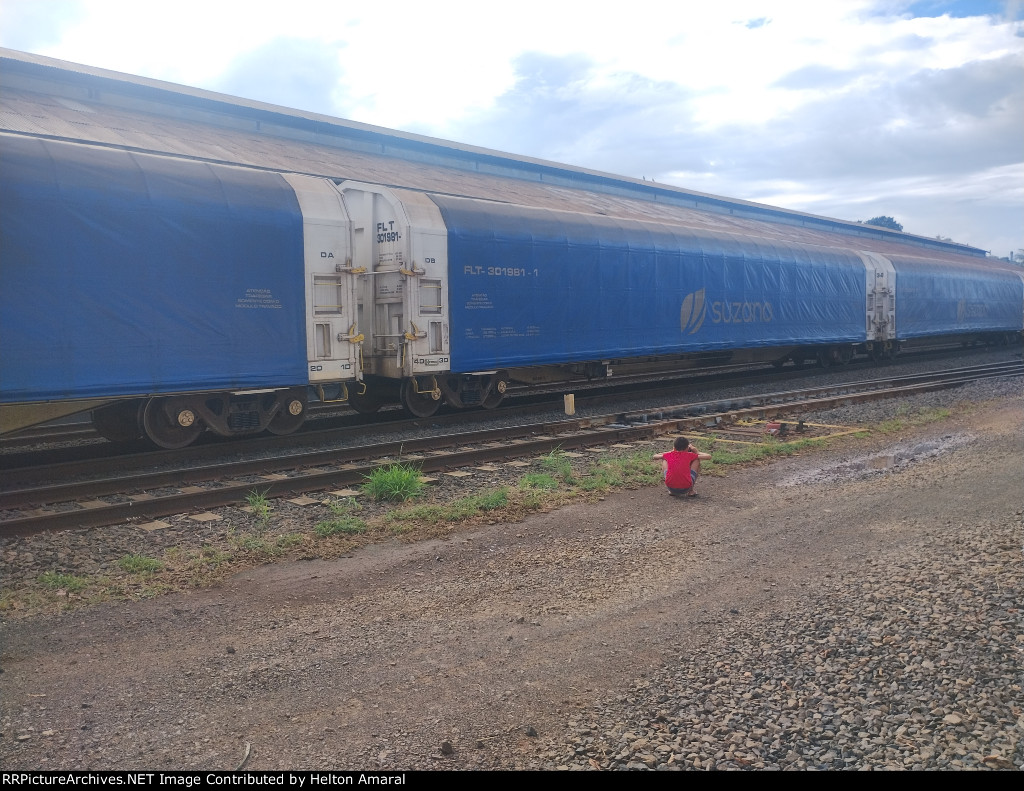 CPS FLT-301981-1